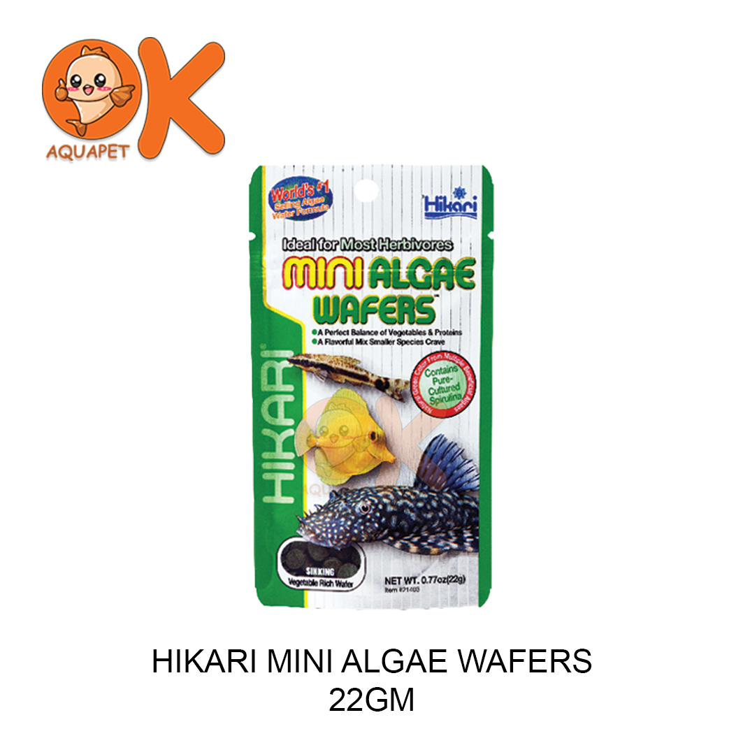 HIKARI MINI ALGAE WAFERS 22G