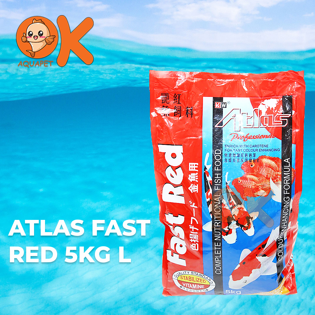 ATLAS FAST RED