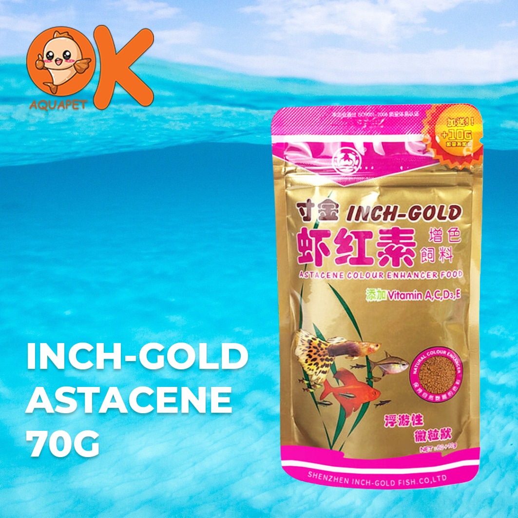 INCH GOLD ASTACENE 70G