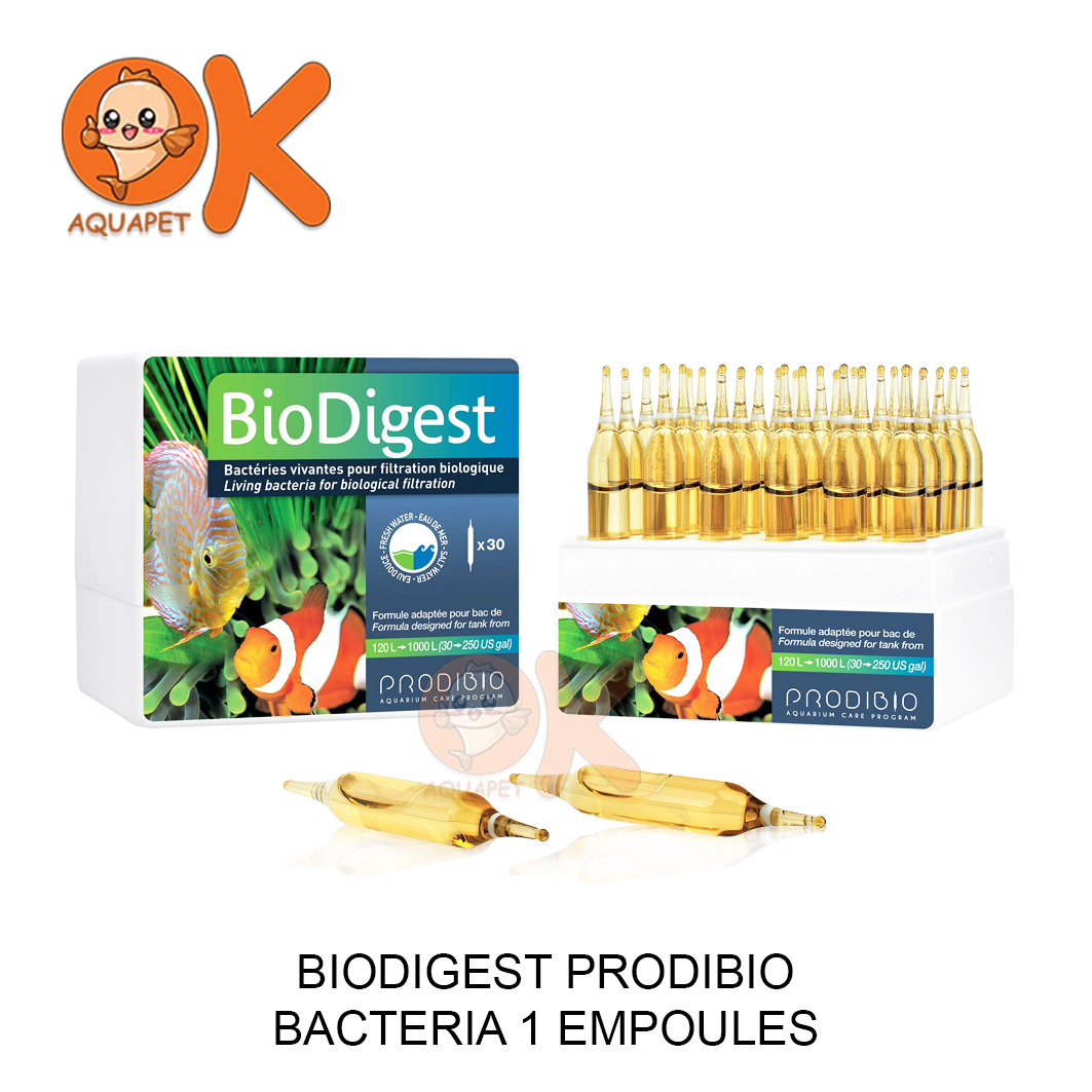 BIODIGEST PRODIBIO BACTERIA 1 EMPOULES