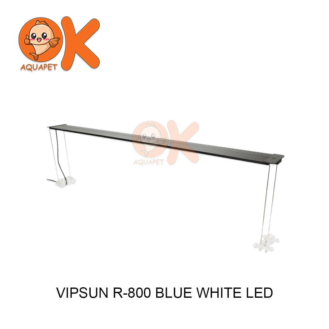 VIPSUN BLUE WHITE LED(R-800)